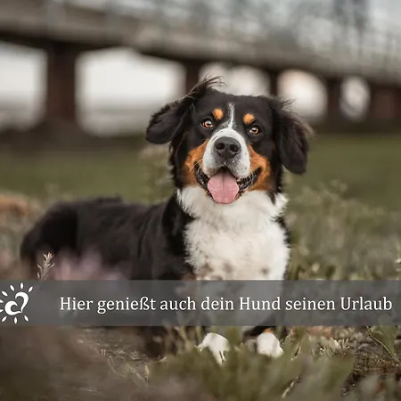 De Seenodel Im Norden! *